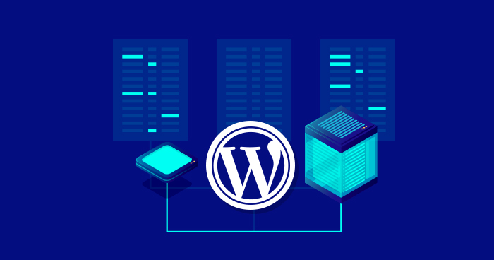 WordPress Hosting vs VPS Hosting