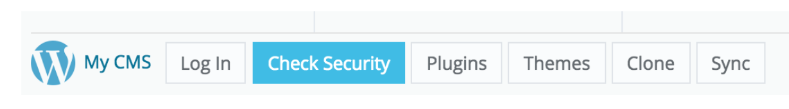 wordpress check security