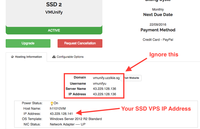 vps details in client page