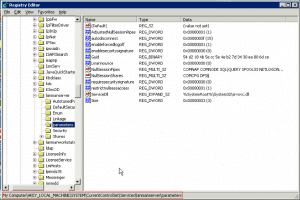 registry editor parameters file