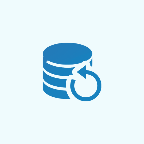 Server backup icon